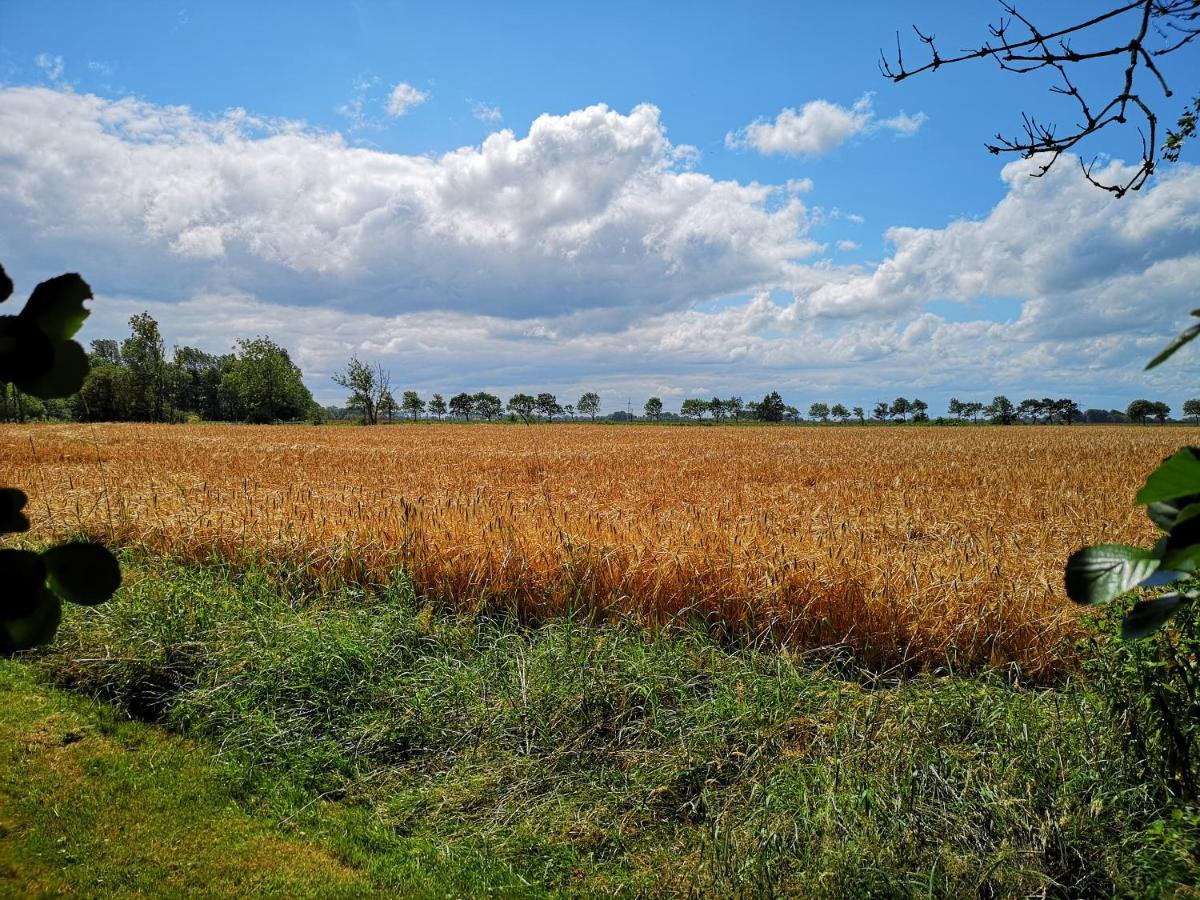 Landhaus Kaisershof - Ferienwohnungen Auf Dem Land Schillig Kültér fotó